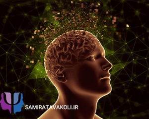 تبدیل چالش ها به فرصت ها چگونه ایجاد ذهنیت رشد مسیر موفقیت شما را دگرگون می کند